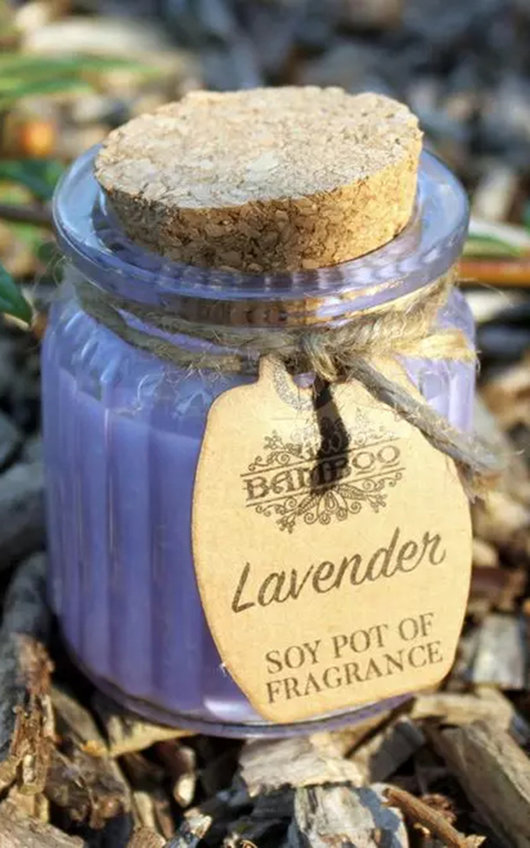 Ancient Wisdom Bamboo Lavender Soy Pot of Fragrance Candle Ancient Wisdom Bamboo Lavender Soy Pot of Fragrance Candle