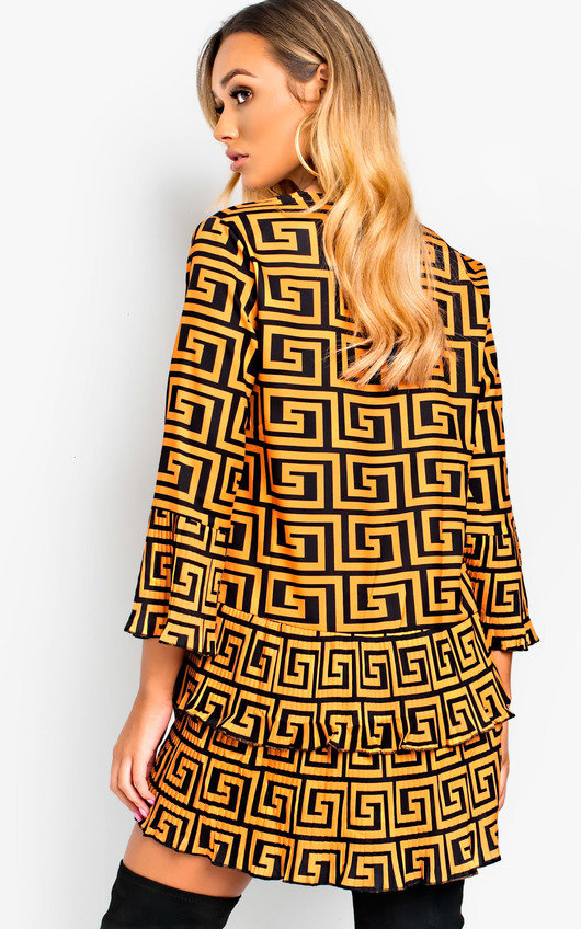Francesca Pleated Flare Shift Dress Francesca Pleated Flare Shift Dress