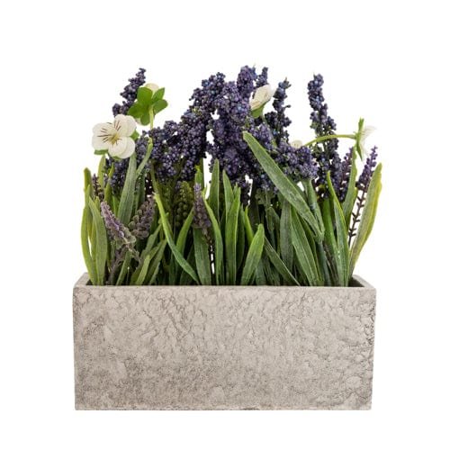 Lavender in Paper Mache Pot Lavender in Paper Mache Pot