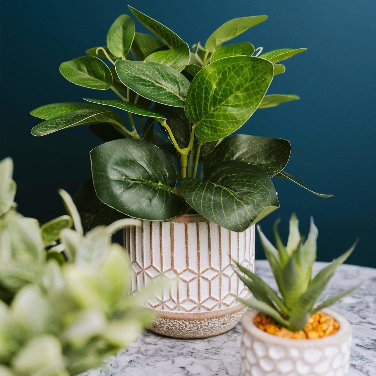 Evergreen Leaves in Cement Pot Grey Thumbnail Evergreen Leaves in Cement Pot Grey Thumbnail