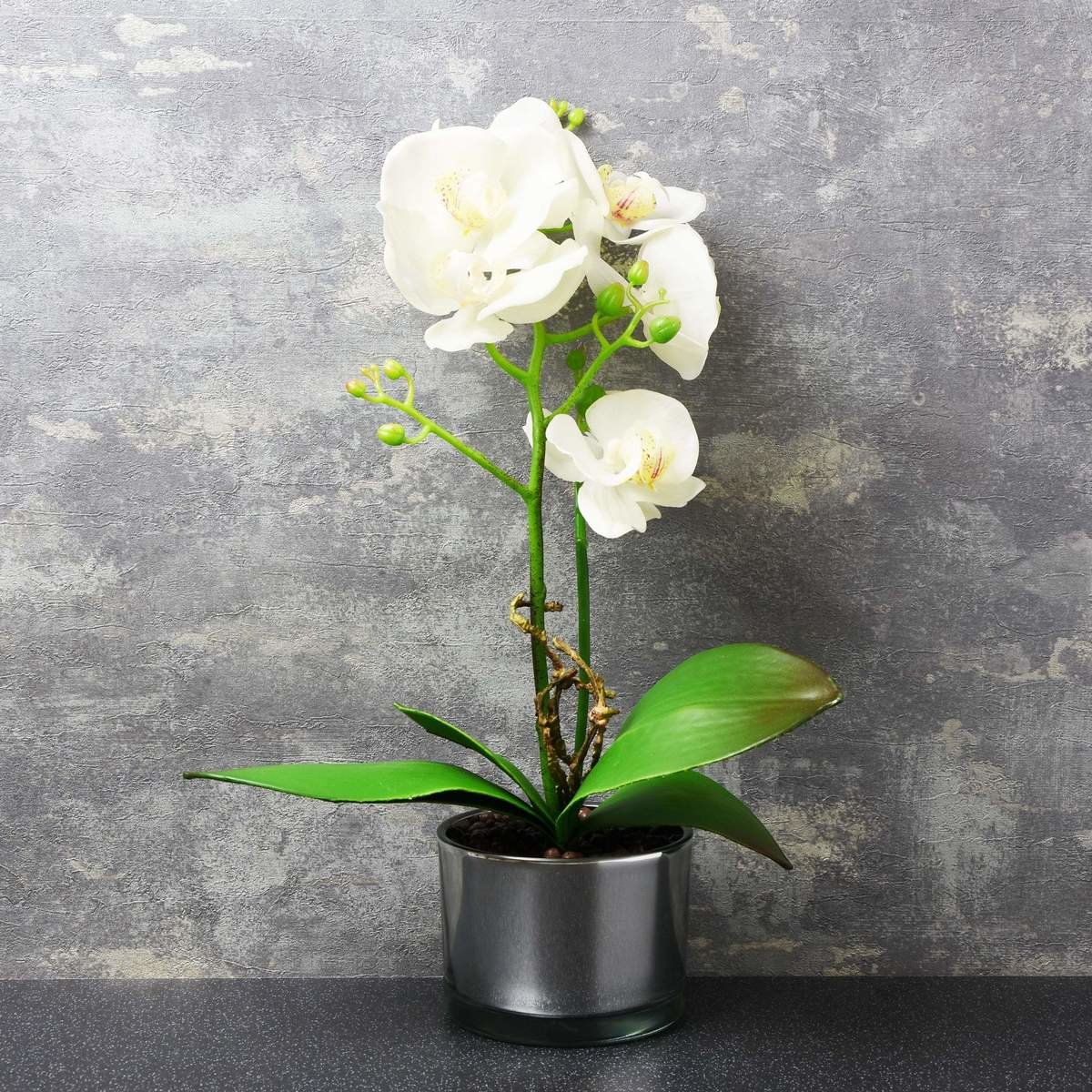 Beautiful White Orchid in Silver Glass Pot Thumbnail