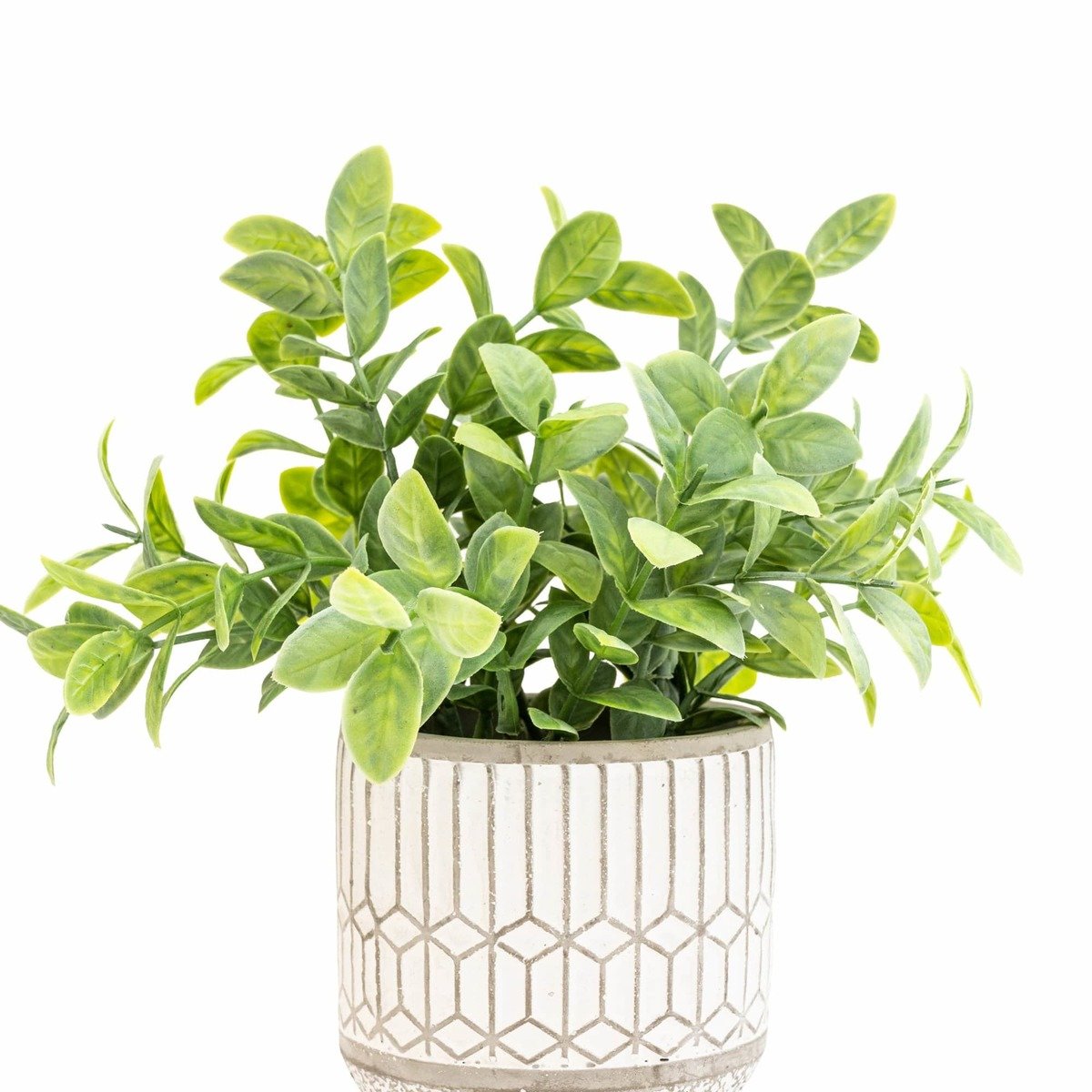 Mosaic Leaves in Cement Pot Thumbnail Mosaic Leaves in Cement Pot Thumbnail