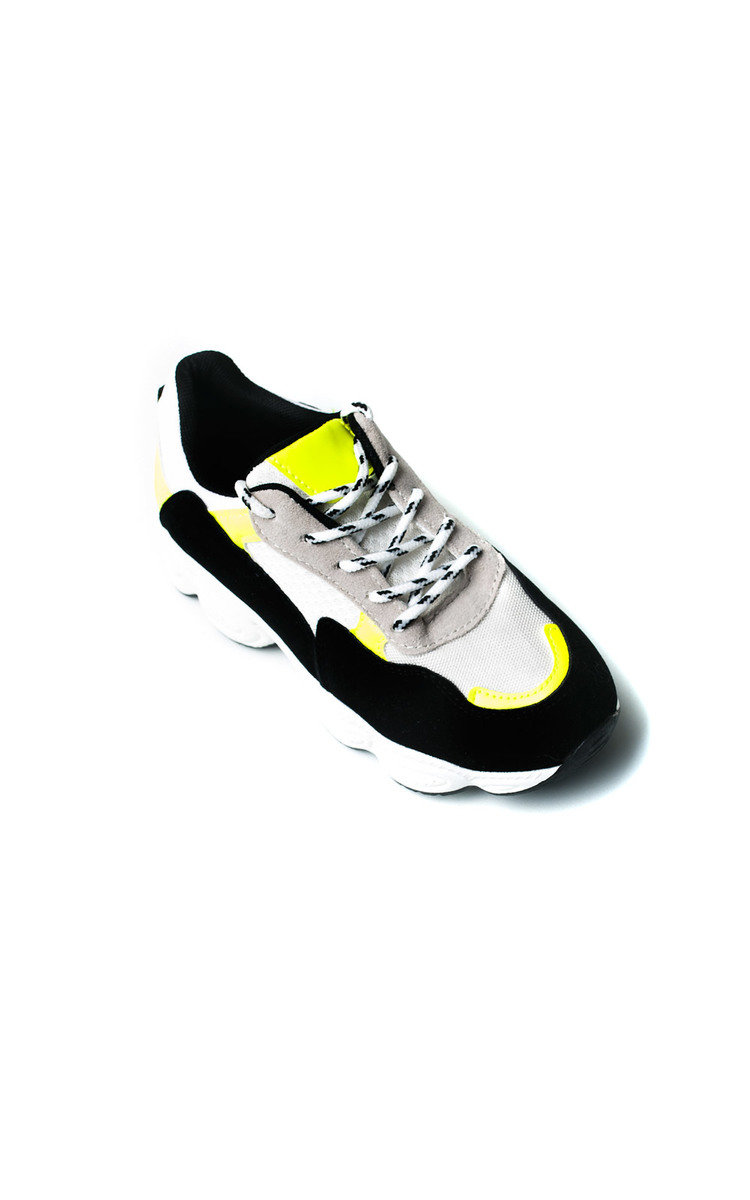 Abigail Chunky Mesh Trainers Thumbnail Abigail Chunky Mesh Trainers Thumbnail