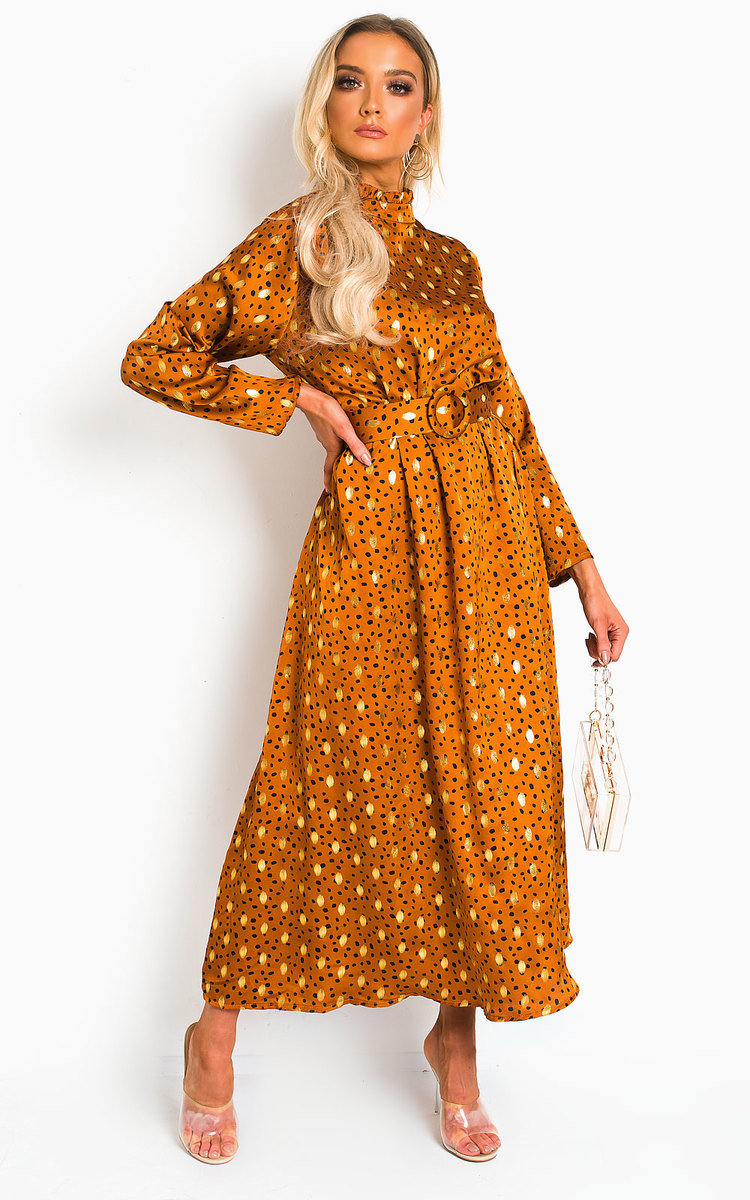 Becki Polka Dot Belted Maxi Dress Thumbnail