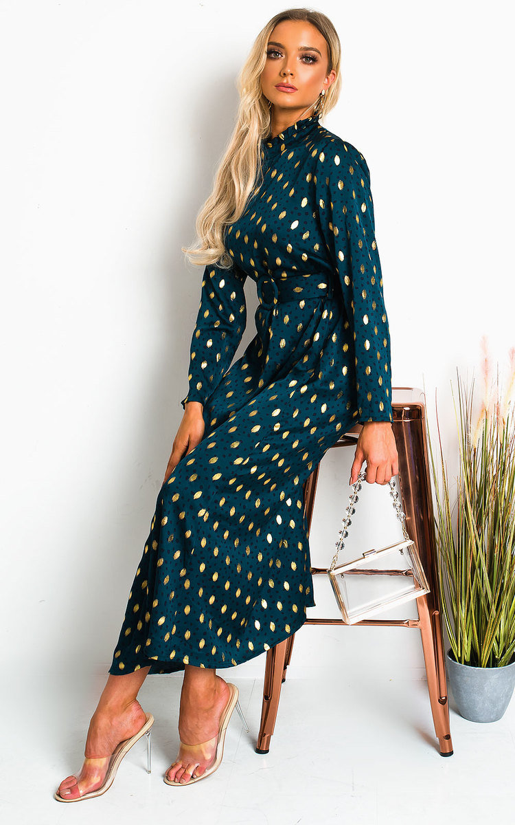 Becki Polka Dot Belted Maxi Dress Thumbnail Becki Polka Dot Belted Maxi Dress Thumbnail