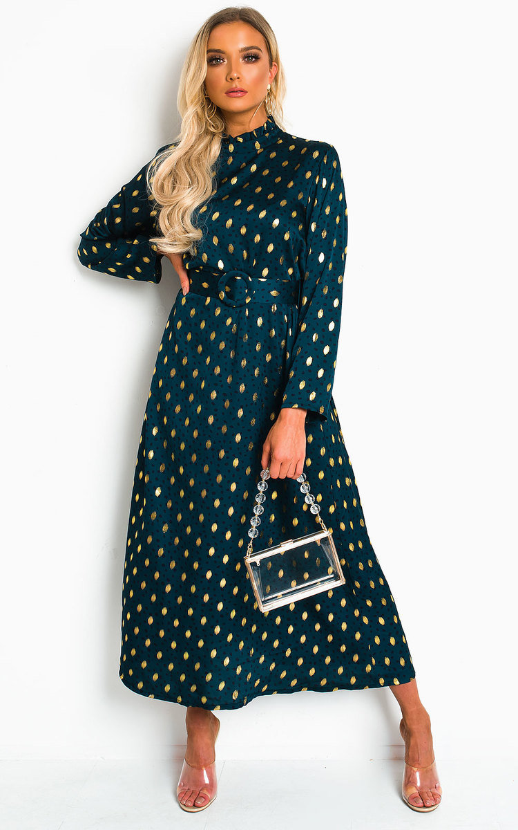 Becki Polka Dot Belted Maxi Dress Thumbnail Becki Polka Dot Belted Maxi Dress Thumbnail