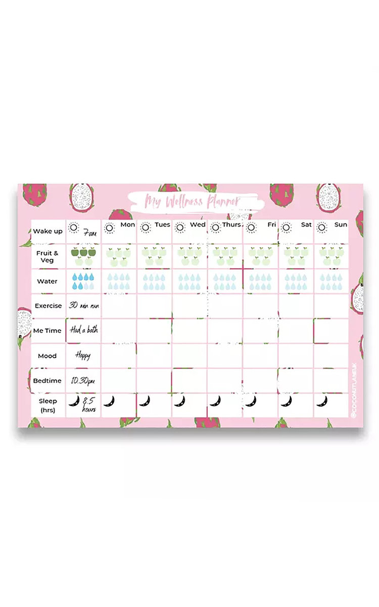 Coconut Lane My Wellness Desk Planner