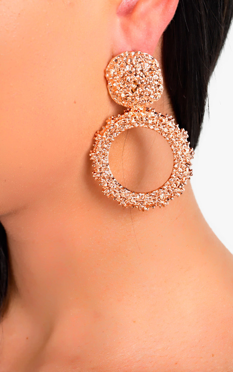 Dani Statement Drop Earrings  Thumbnail