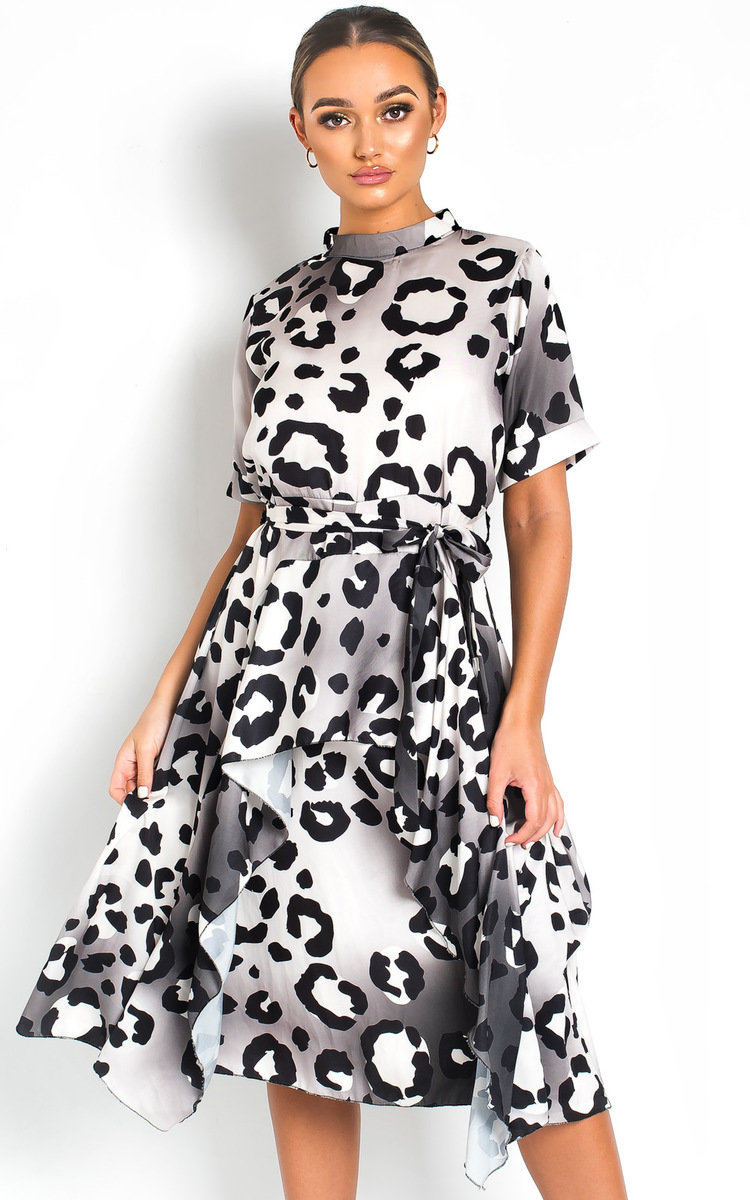 Danica Printed Frill Chiffon Dress