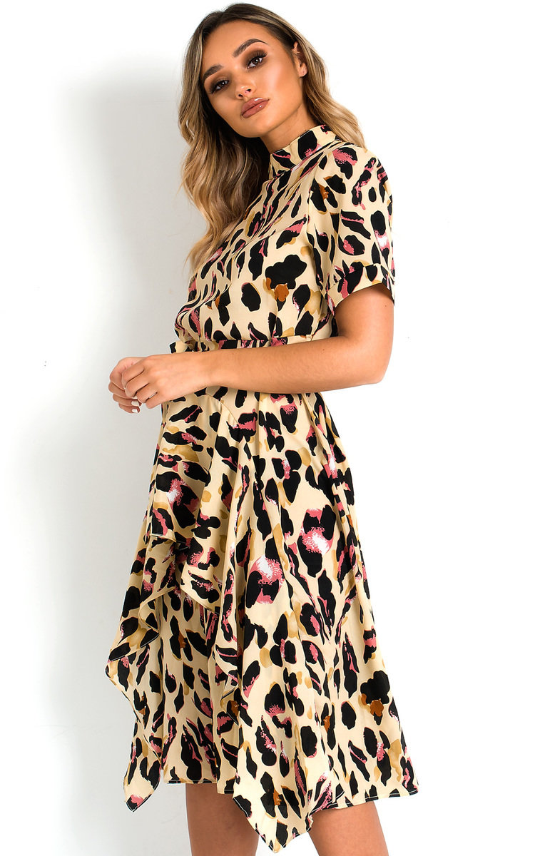 Danica Printed Frill Chiffon Dress Thumbnail