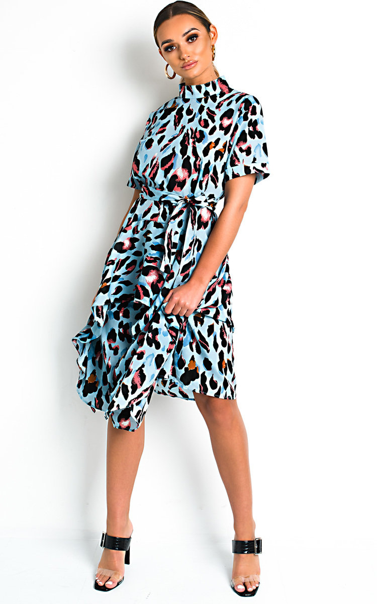 Danica Printed Frill Chiffon Dress Thumbnail