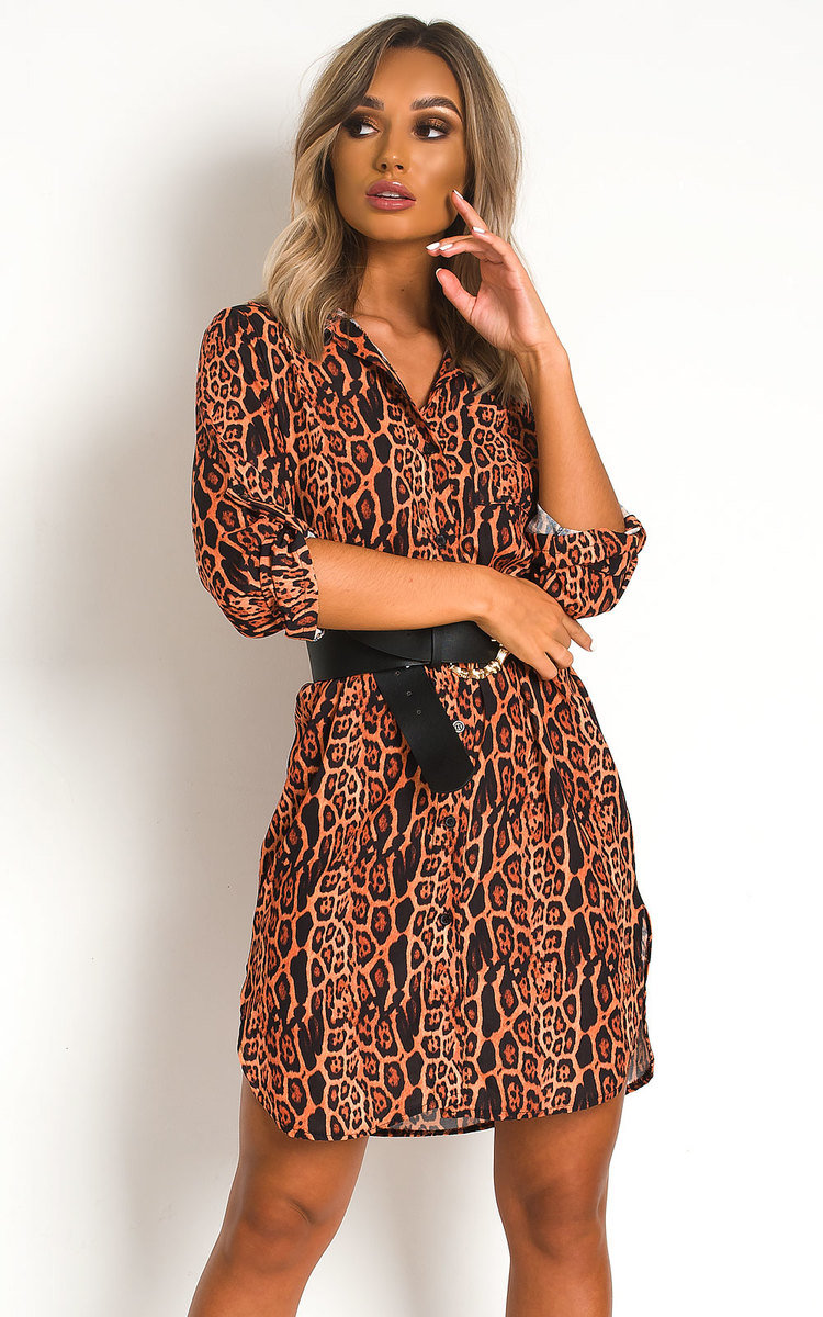 Davina Shirt Dress Thumbnail Davina Shirt Dress Thumbnail