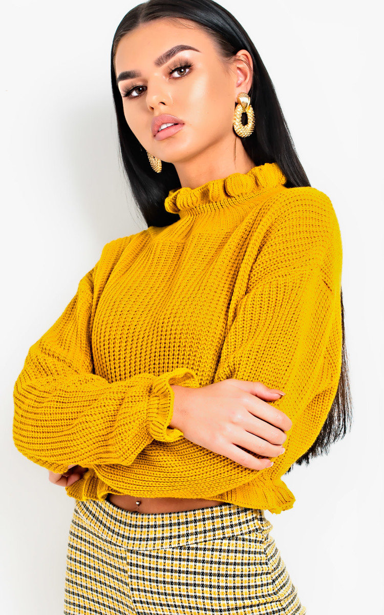 Kaylin Knitted Cropped Jumper