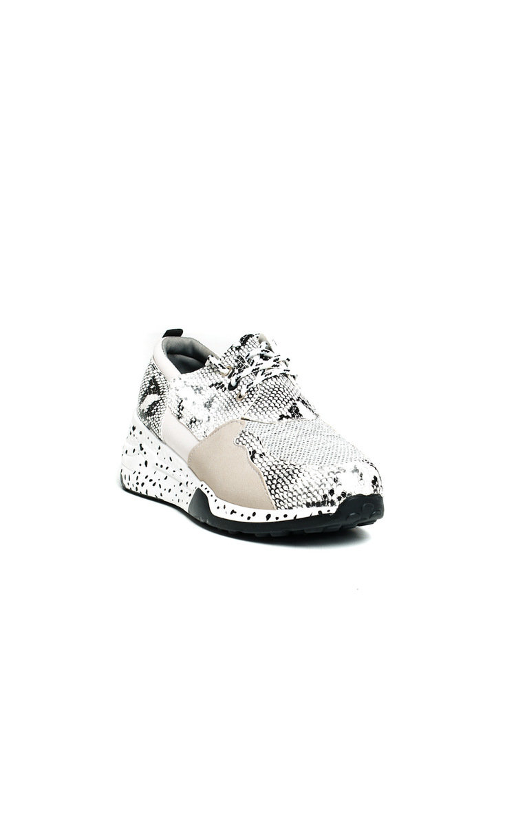 snake print trainers