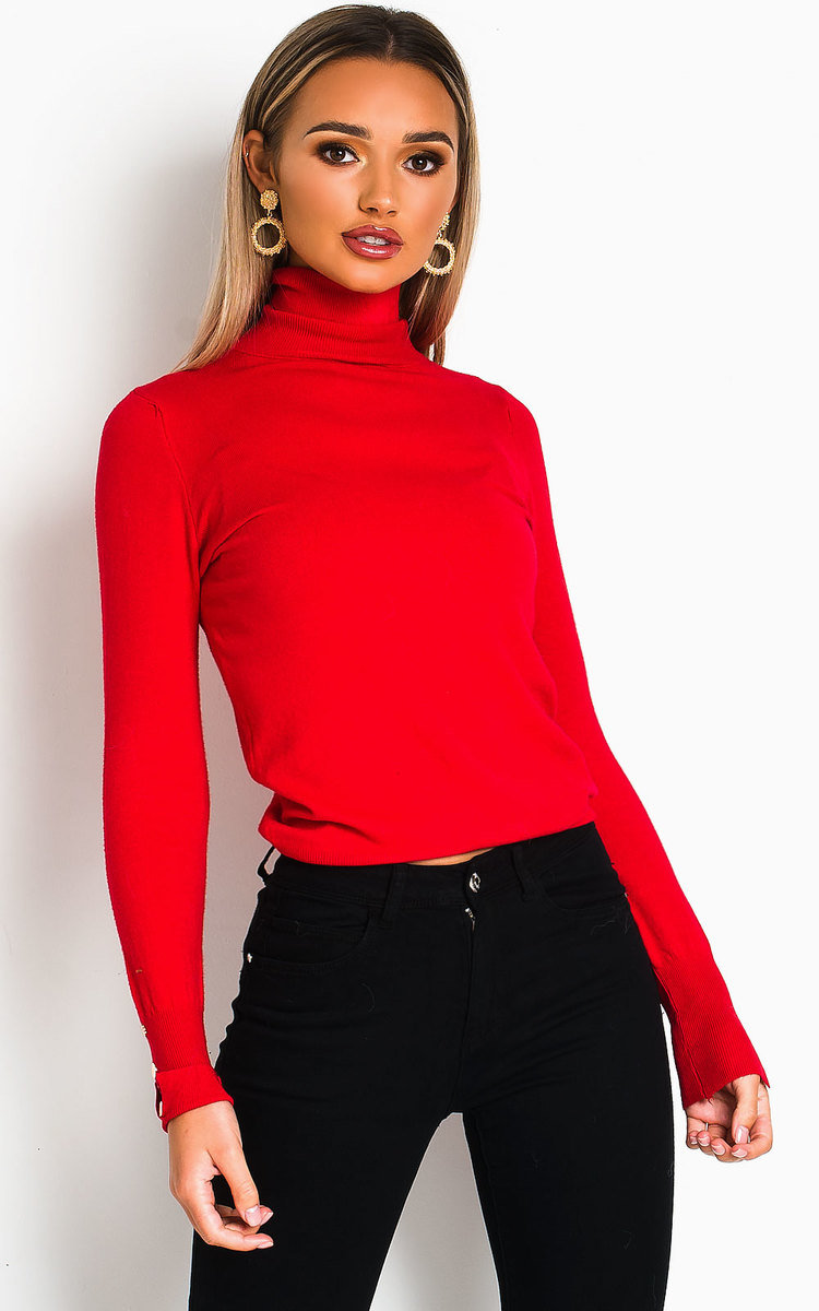 Larsa Roll Neck Knitted Ribbed Jumper Thumbnail Larsa Roll Neck Knitted Ribbed Jumper Thumbnail
