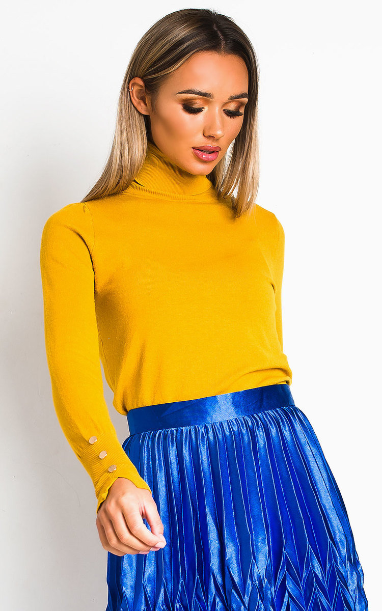 Larsa Roll Neck Knitted Ribbed Jumper Thumbnail Larsa Roll Neck Knitted Ribbed Jumper Thumbnail
