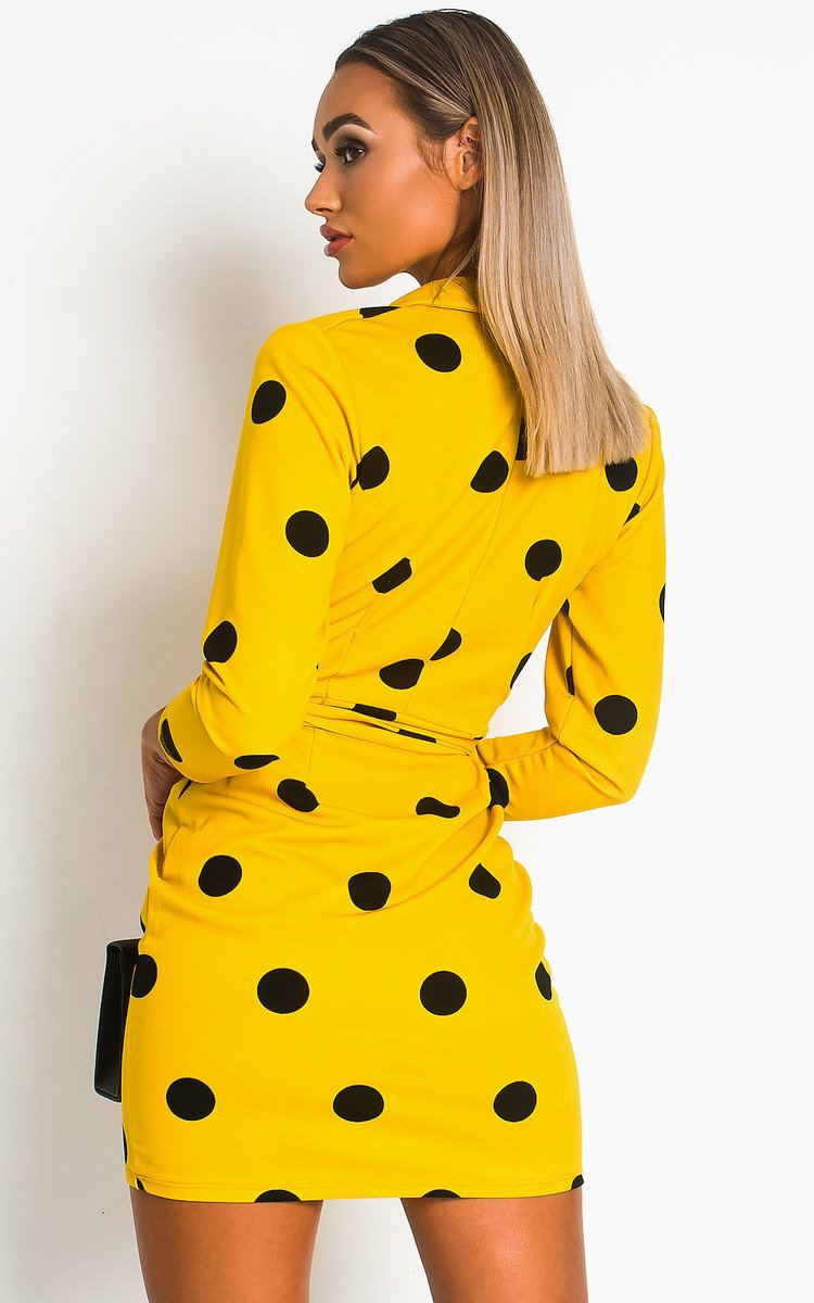 Margot Printed Wrap Mini Dress Thumbnail Margot Printed Wrap Mini Dress Thumbnail
