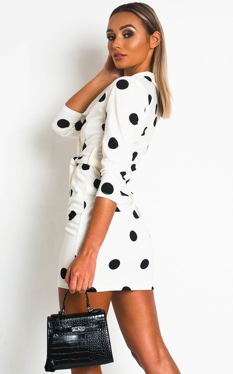 Margot Printed Wrap Mini Dress Thumbnail