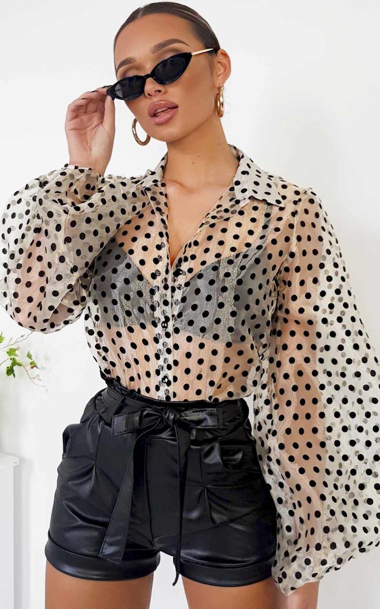 Ola Polka Dot Mesh Blouse Thumbnail Ola Polka Dot Mesh Blouse Thumbnail