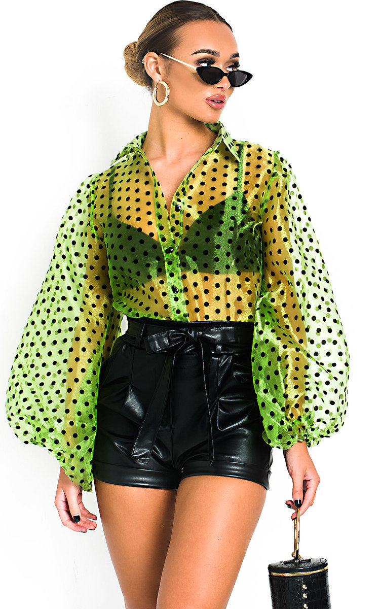 Ola Polka Dot Mesh Blouse Thumbnail Ola Polka Dot Mesh Blouse Thumbnail