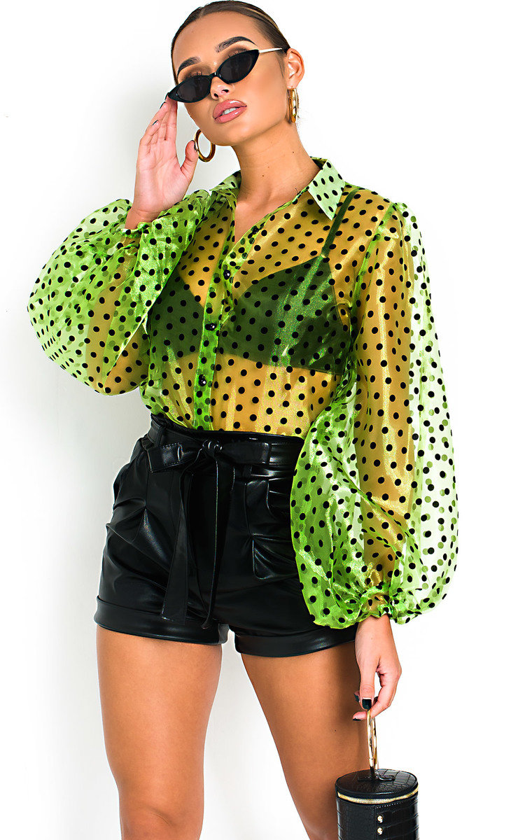 Ola Polka Dot Mesh Blouse Thumbnail Ola Polka Dot Mesh Blouse Thumbnail