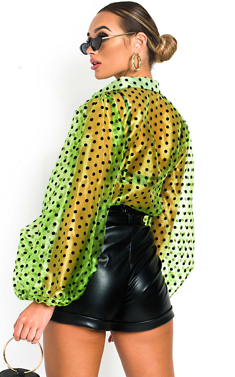 Ola Polka Dot Mesh Blouse Thumbnail Ola Polka Dot Mesh Blouse Thumbnail