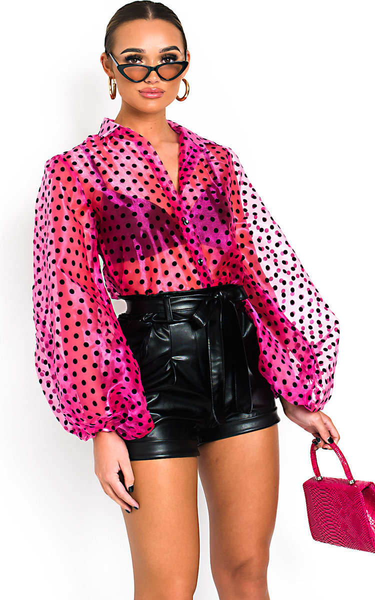 Ola Polka Dot Mesh Blouse Thumbnail