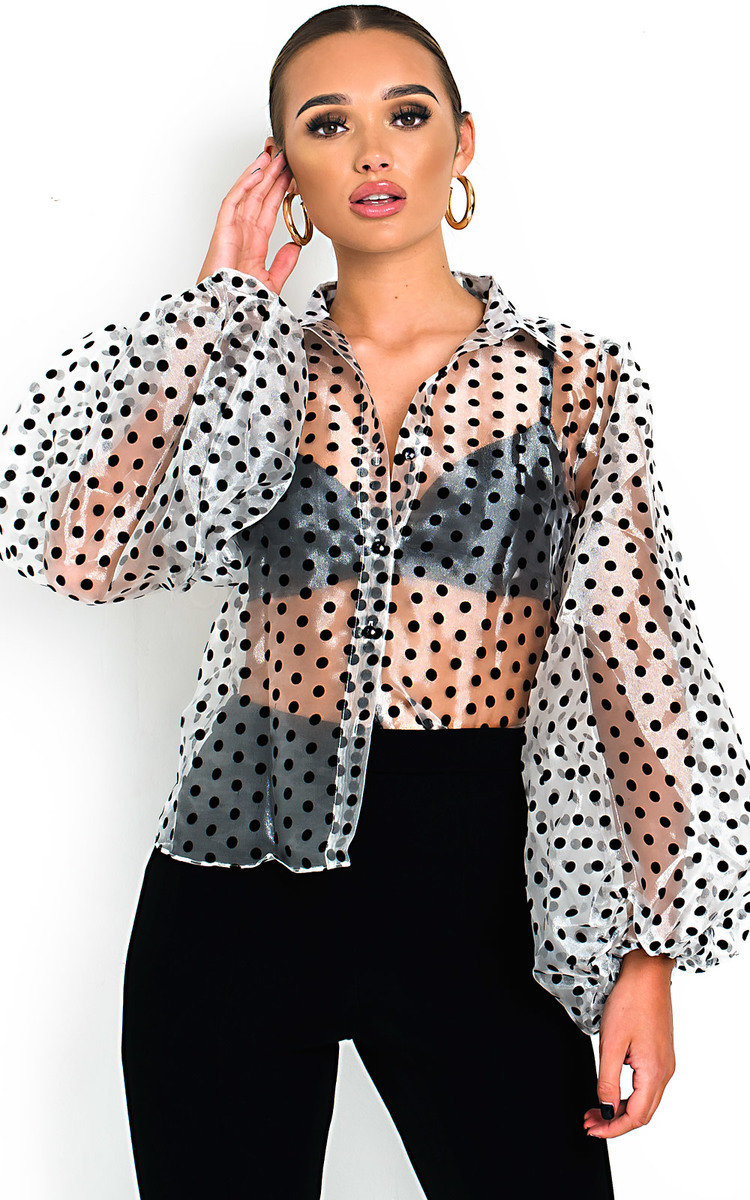 Ola Polka Dot Mesh Blouse Thumbnail Ola Polka Dot Mesh Blouse Thumbnail