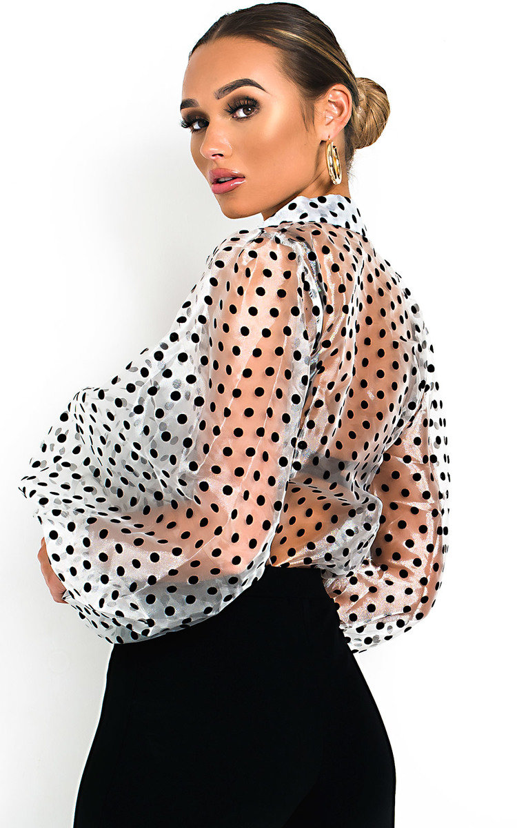 Ola Polka Dot Mesh Blouse Thumbnail Ola Polka Dot Mesh Blouse Thumbnail
