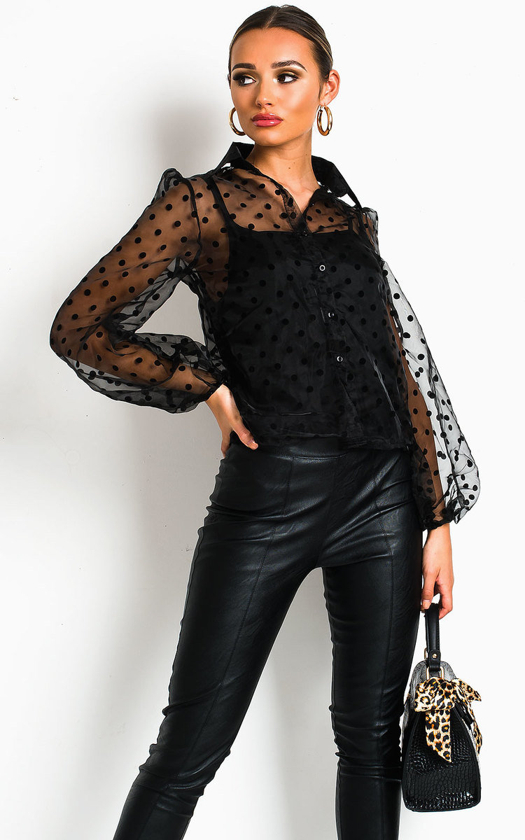 Orlagh Polka Dot Mesh Blouse Thumbnail