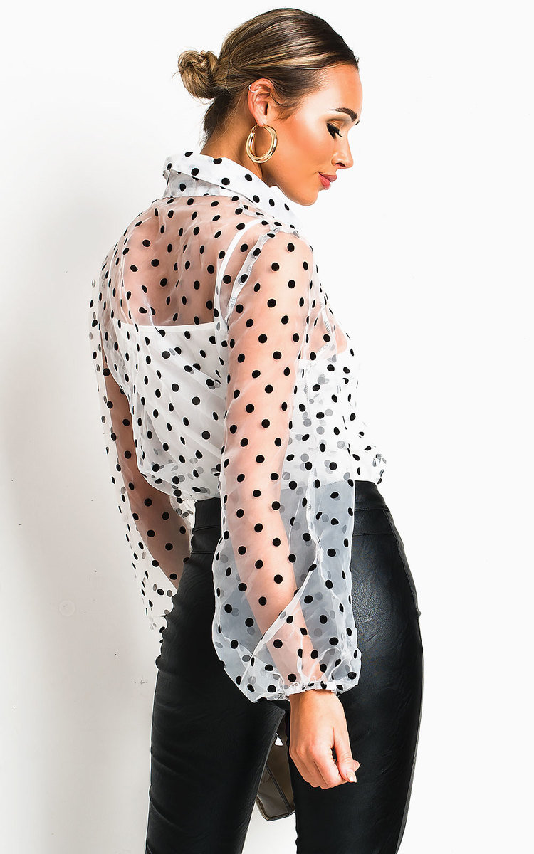 Orlagh Polka Dot Mesh Blouse Thumbnail