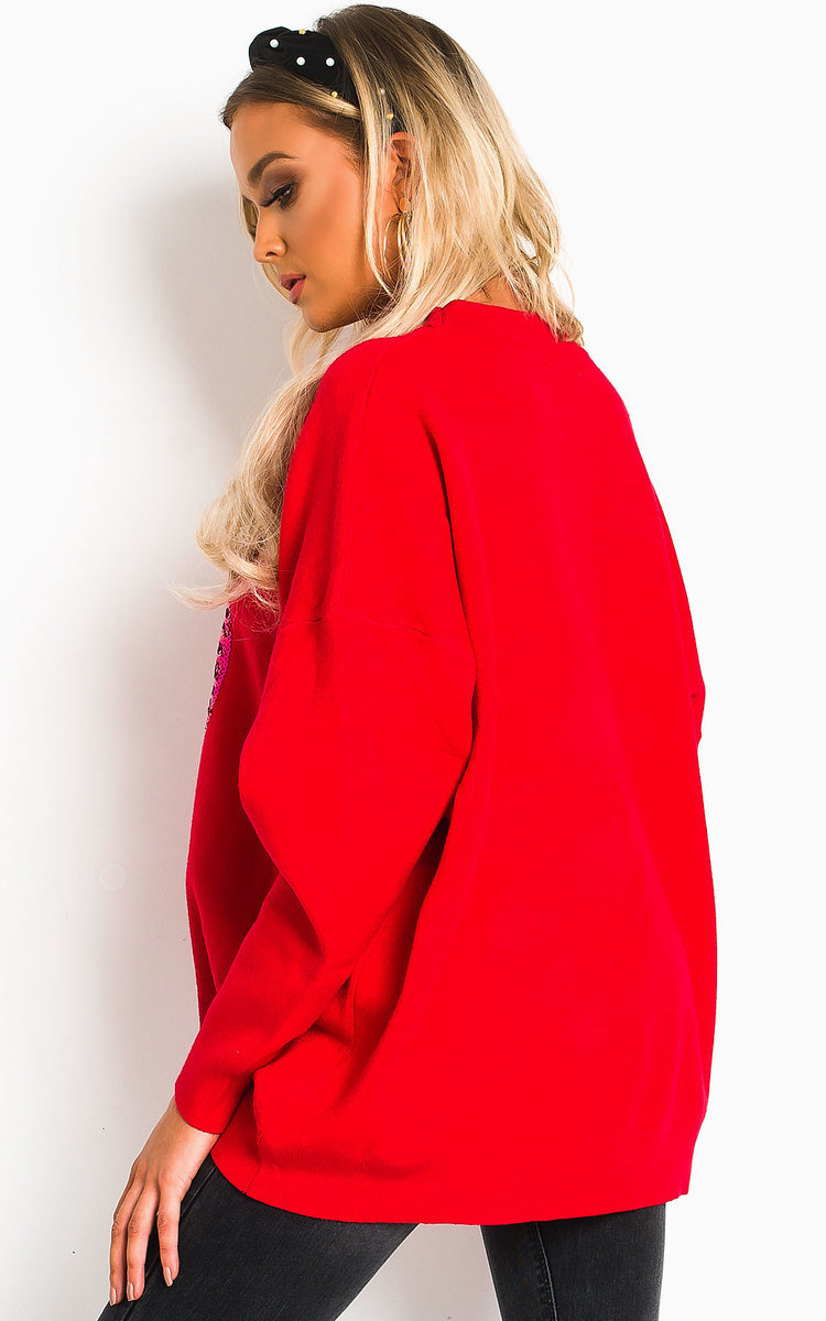 Pippa Embellished Oversized Jumper Thumbnail Pippa Embellished Oversized Jumper Thumbnail