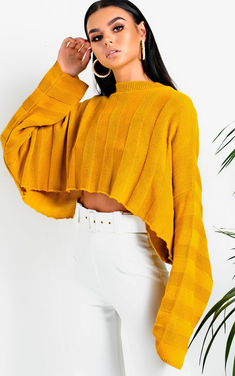 Rach Cropped Stripe Knit Jumper Thumbnail Rach Cropped Stripe Knit Jumper Thumbnail