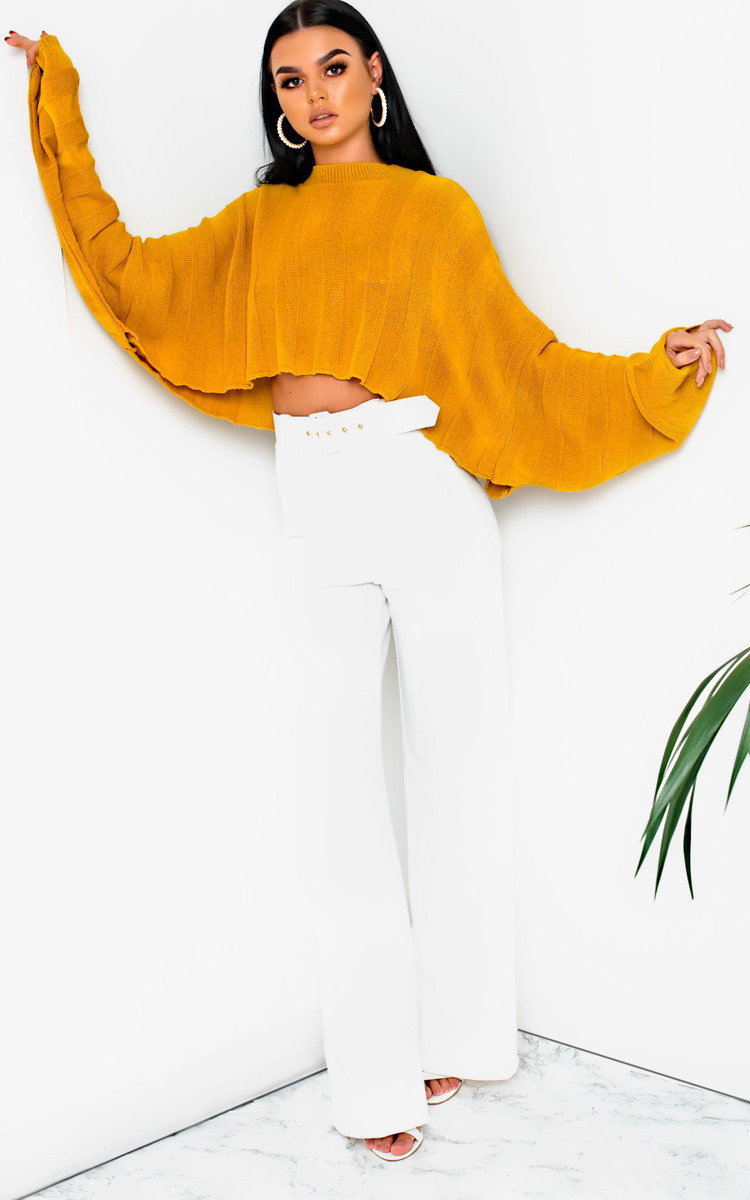 Rach Cropped Stripe Knit Jumper Thumbnail Rach Cropped Stripe Knit Jumper Thumbnail