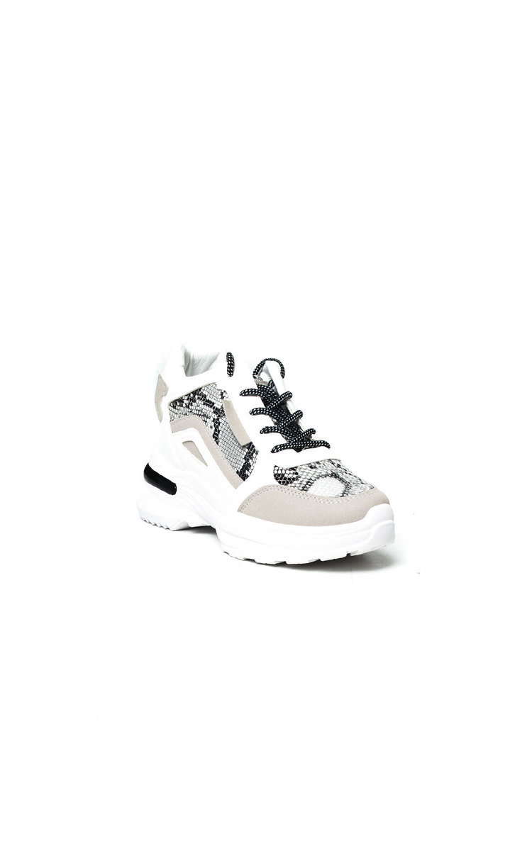 Rennie Snake Print Chunky Trainers Thumbnail Rennie Snake Print Chunky Trainers Thumbnail