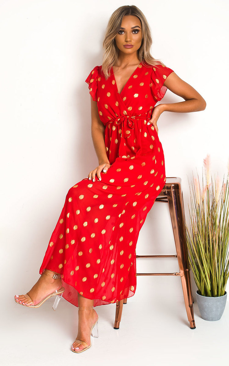 Rosi Polka Dot Maxi Dress Thumbnail