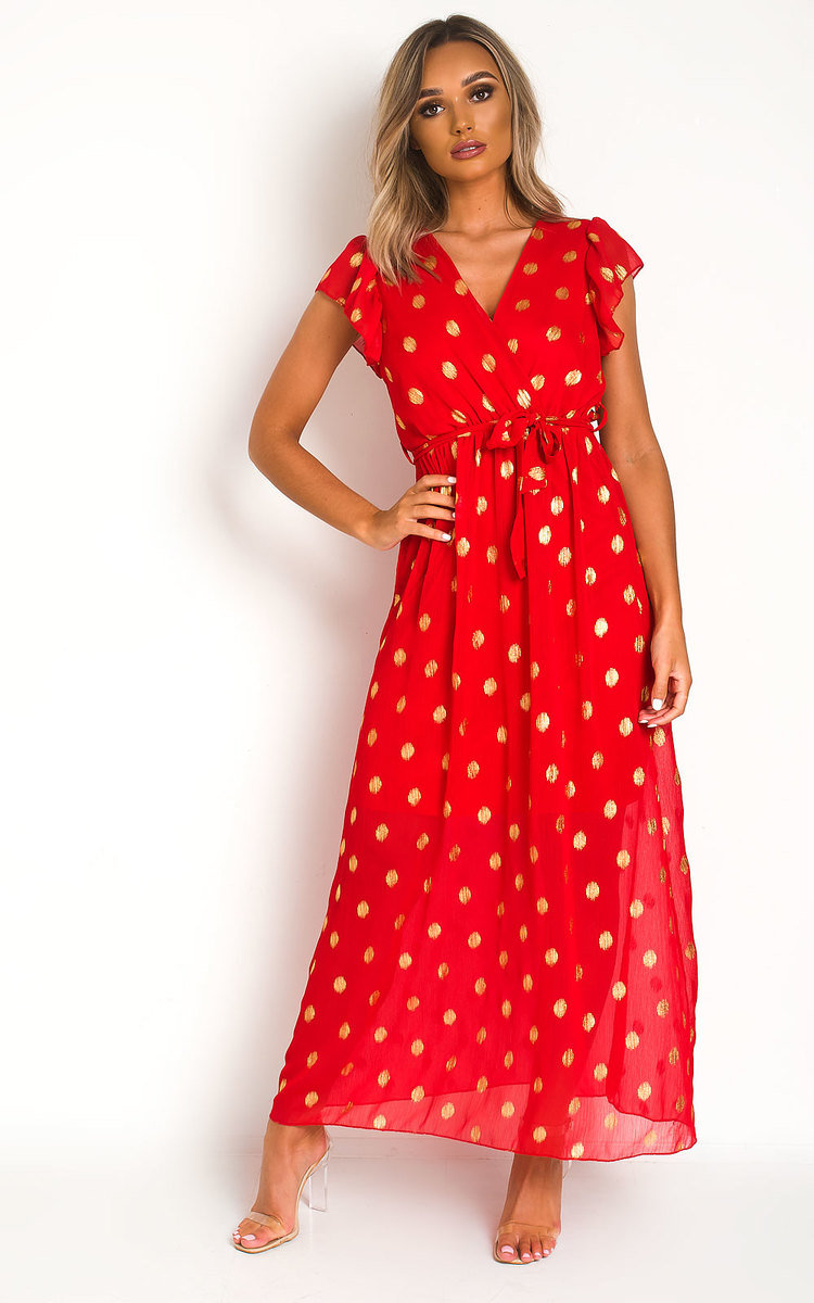 Rosi Polka Dot Maxi Dress Thumbnail