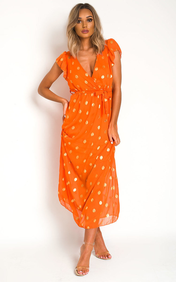Rosi Polka Dot Maxi Dress Thumbnail Rosi Polka Dot Maxi Dress Thumbnail