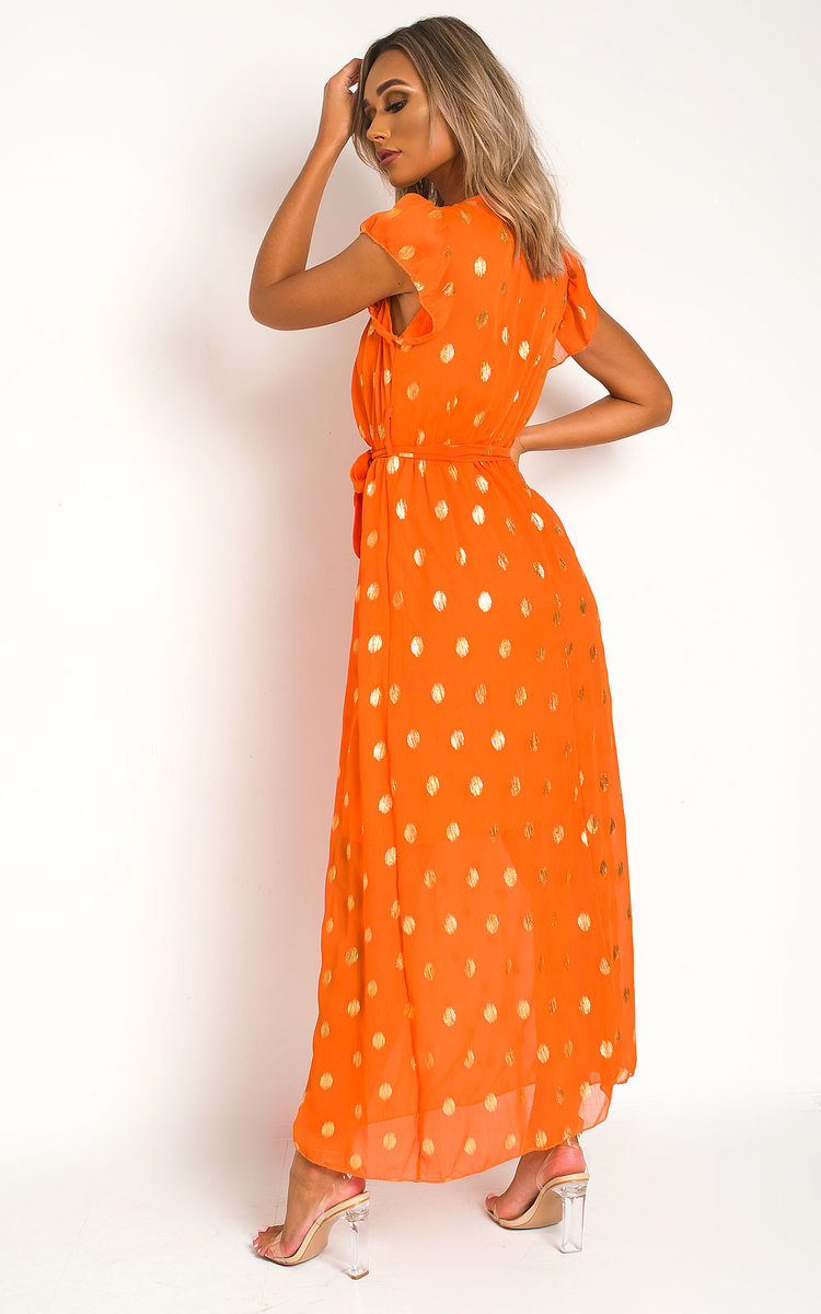 Rosi Polka Dot Maxi Dress Thumbnail Rosi Polka Dot Maxi Dress Thumbnail