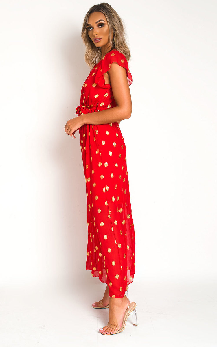 Rosi Polka Dot Maxi Dress Thumbnail