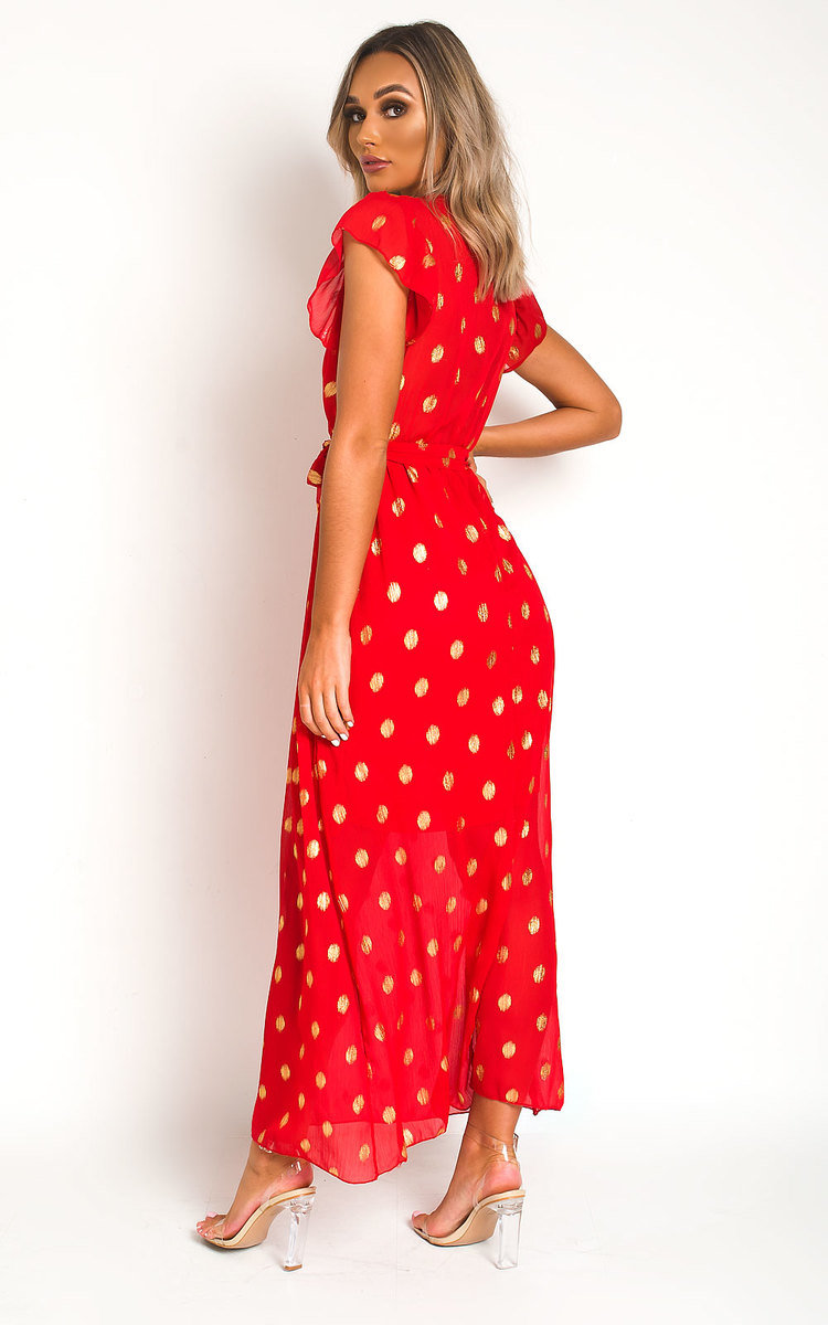 Rosi Polka Dot Maxi Dress Thumbnail